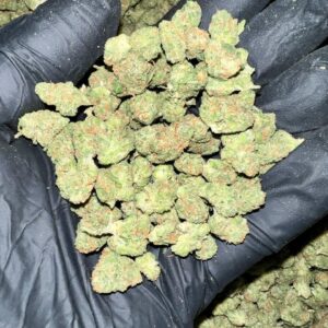 Black Garlic Gelato THCA Flower