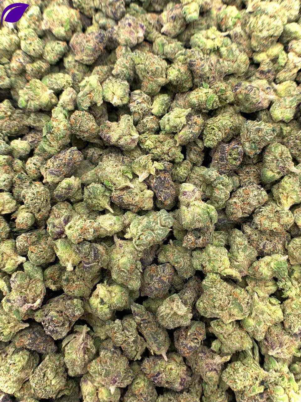 Afro Runtz Exotic THCa Flower - Image 2