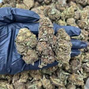 Blood Orange CBD Strain