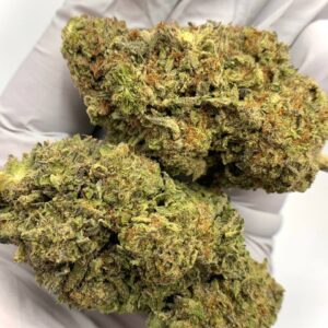Bad Apple THCa Flower