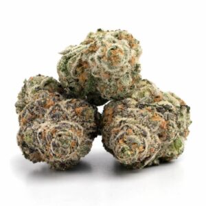 Balanced Kush THCa Flower