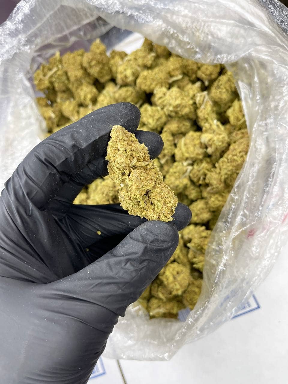 Berry White Indoor CBD Strain - Image 3