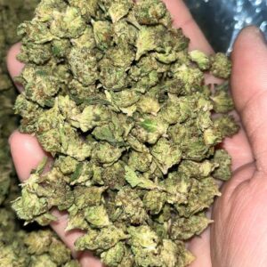 Biscotti THCa Smalls