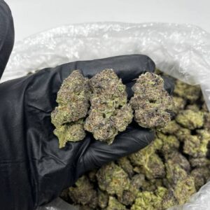 Blue Gushers CBD Strain