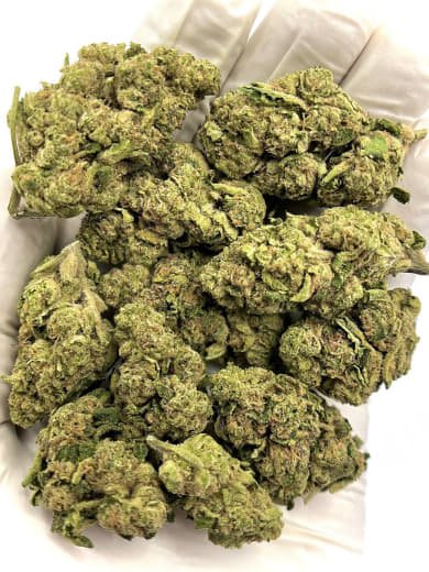 Blueberry Kush THCa Flower