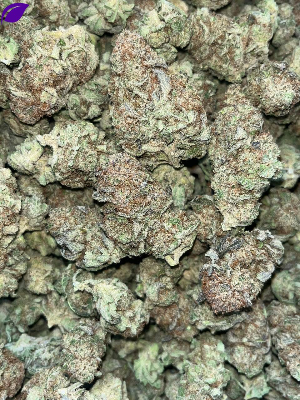 Blueberry Muffins THCa - Image 2
