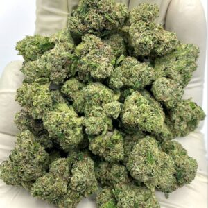 Bolo Runtz THCa Flower