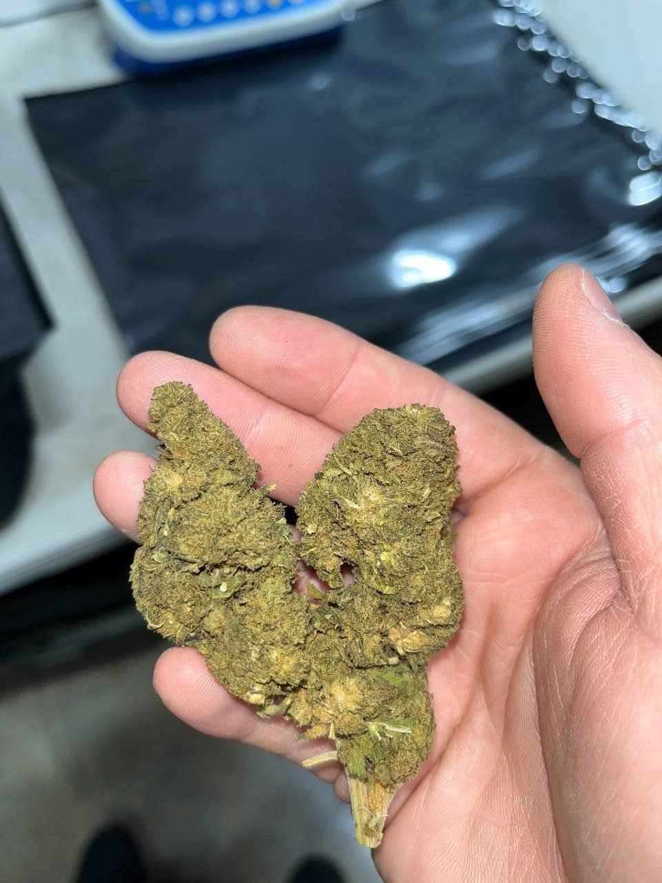 Bubba kush smalls CBD Strain