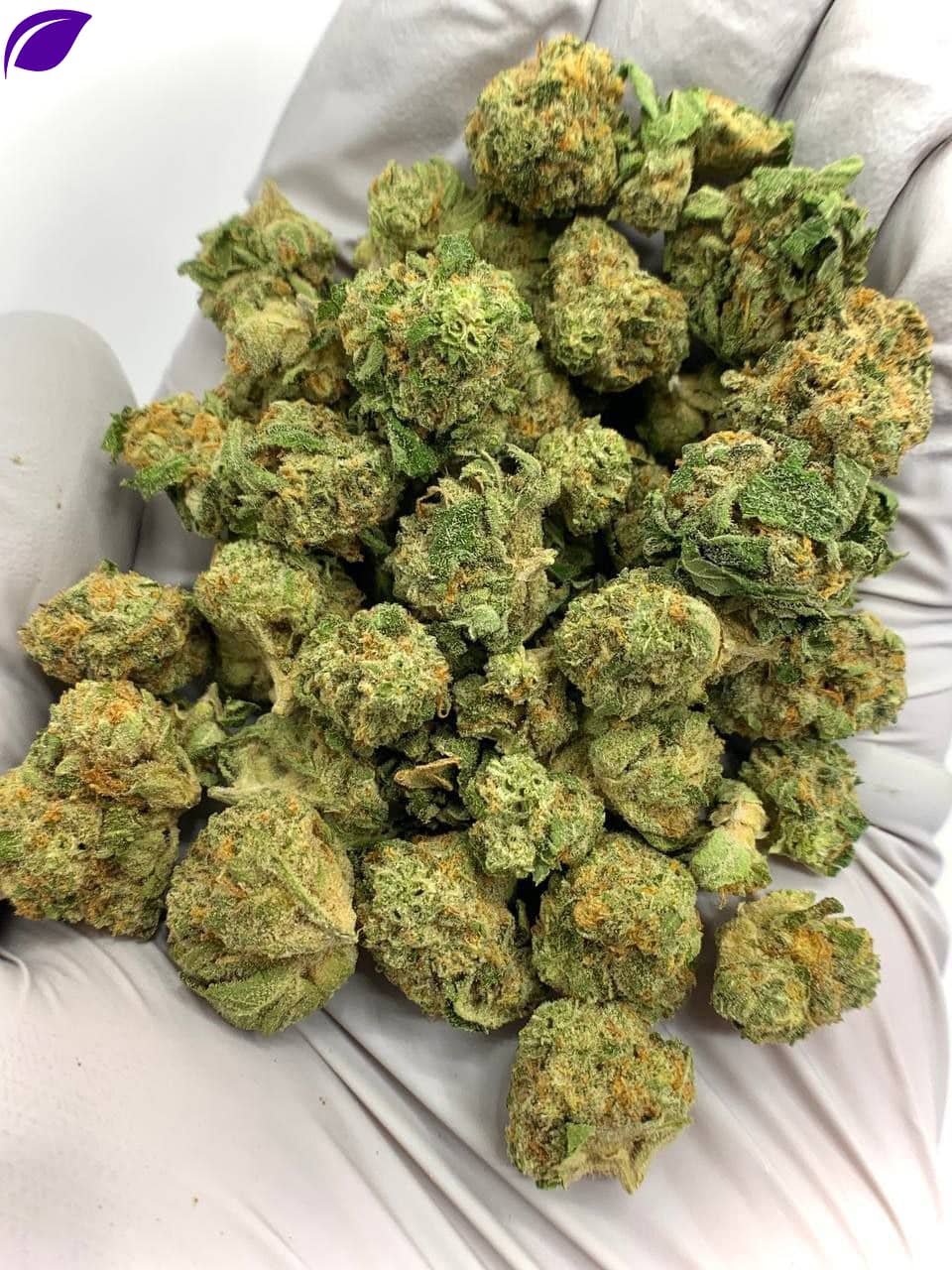 Bubble Bath THCa Flower