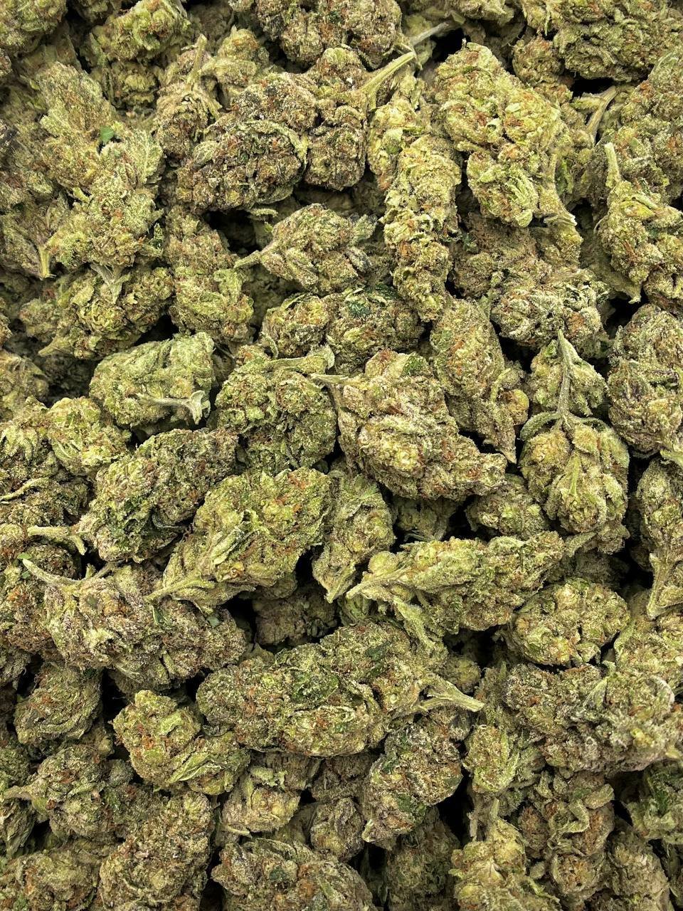Blueberry Kush THCa Flower - Image 2