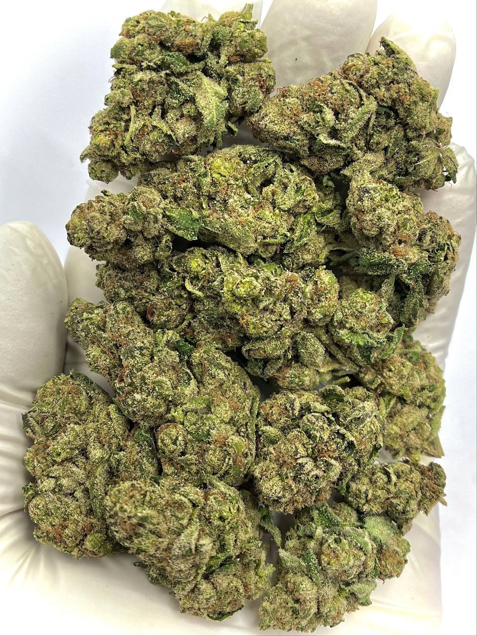 Bubble Bath THCa Flower