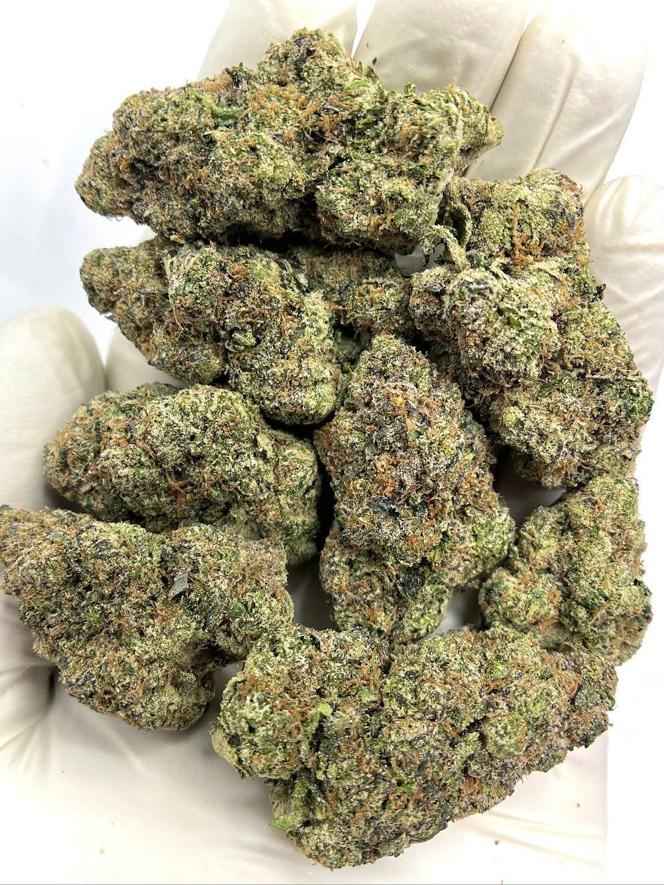 California Orange THCa Flower