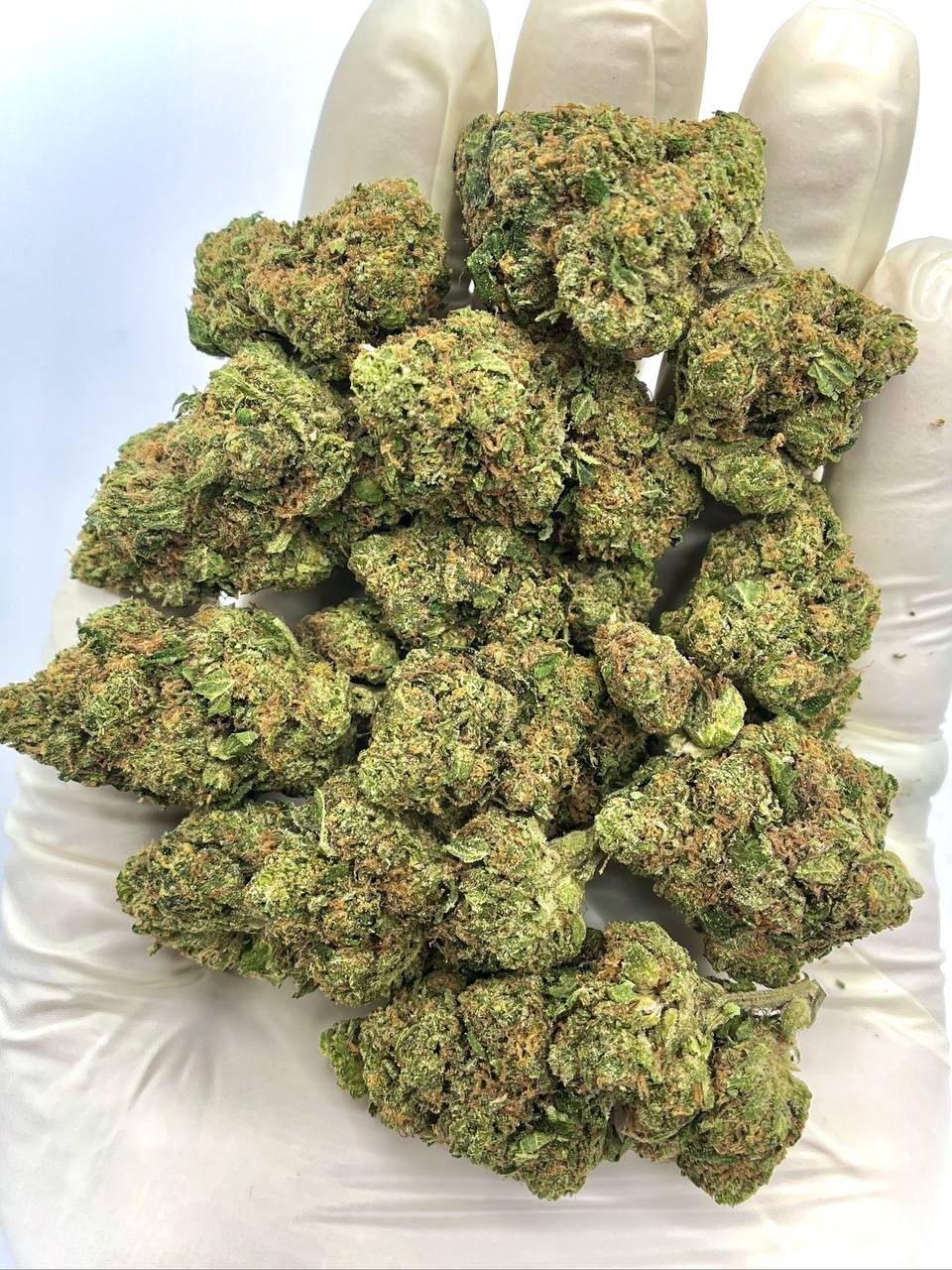 Laughing Gas THCa Flower