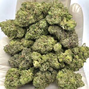 Burberry Runtz THCa Flower