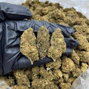 Cherry Mender CBD Strain