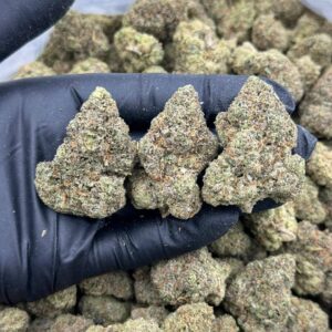 Chi Town Runtz THCA Flower