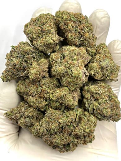 Best Choice THCa Flower