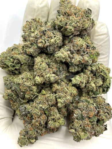 Black Triangle THCa Flower