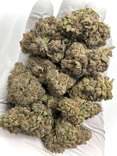 Colada CBD Flower
