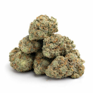 Critical Jack THCa Flower