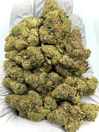 Elida CBD Flower
