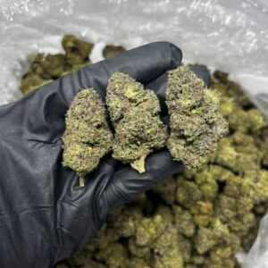 Cream Cake CBD Strain