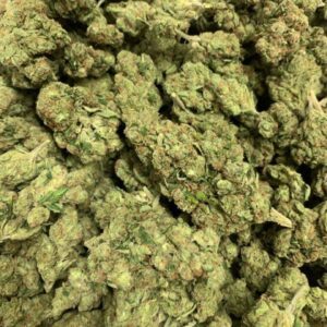 Creamy Pine CBDV Flower