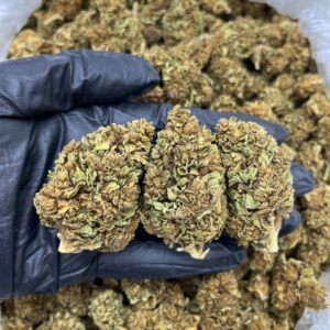 Dirty Widow CBD Strain