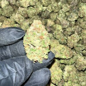 Detroit Runtz THCa