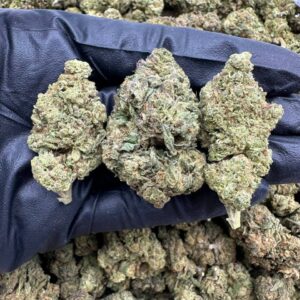 Flan CBD Strain