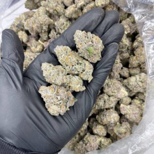 Galaxy Indoor CBD Strain