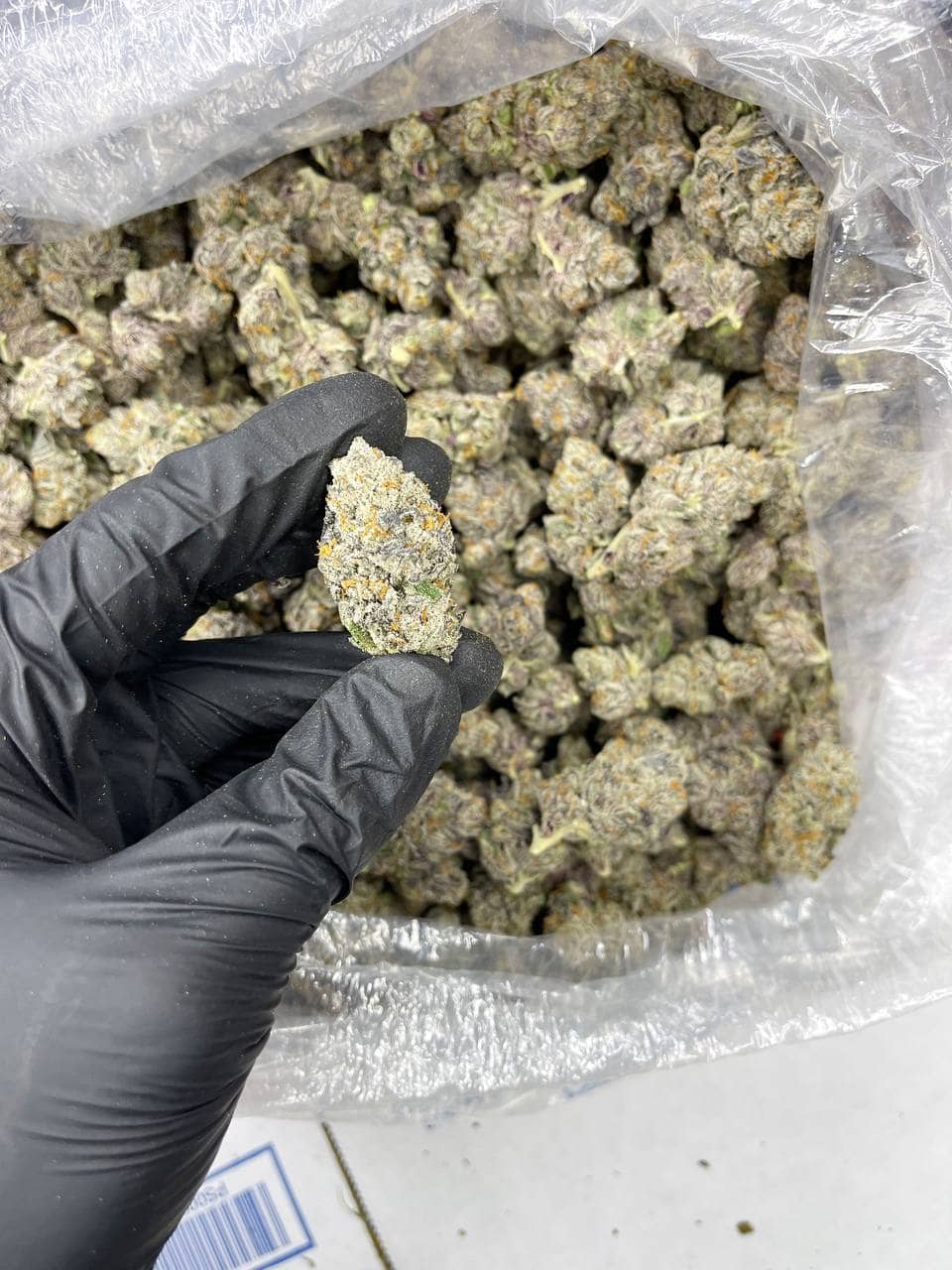 Galaxy Indoor CBD Strain - Image 4