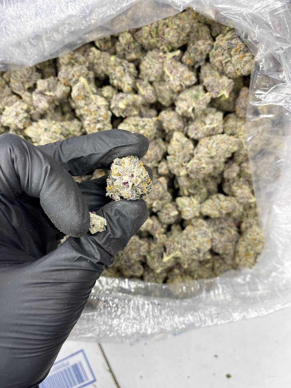 Galaxy Indoor CBD Strain - Image 3