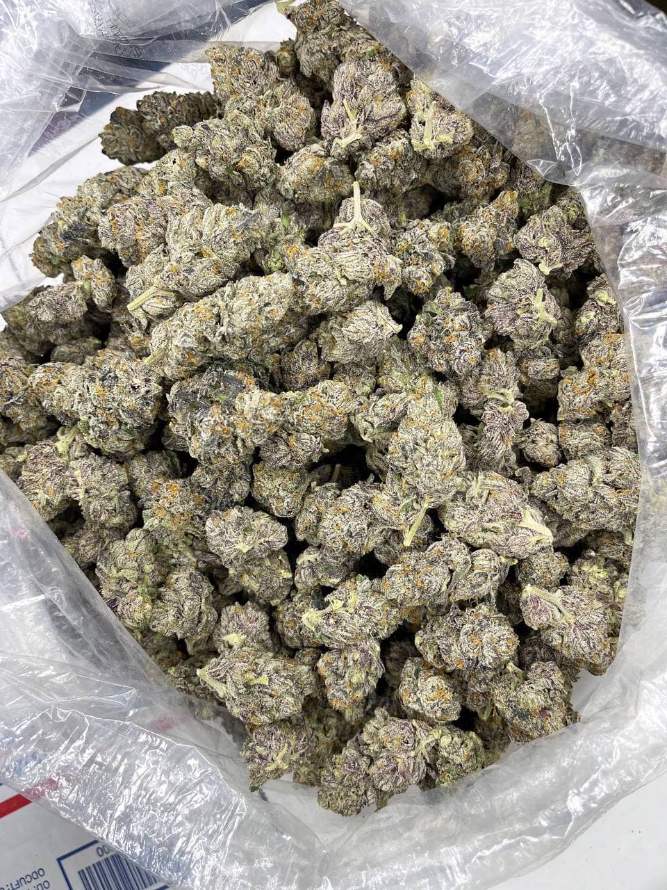 Galaxy Indoor CBD Strain - Image 2