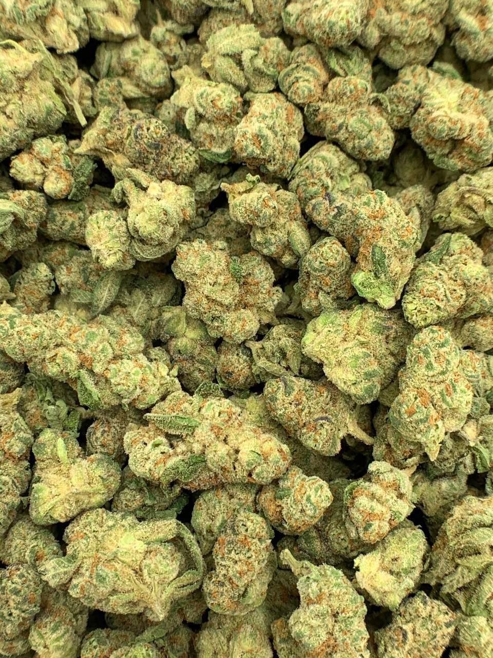 Gary Payton Delta-9 THC Flower