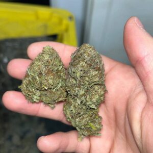 Gas Face CBD Strain