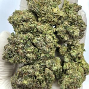 Gelato Mintz THCa Flower