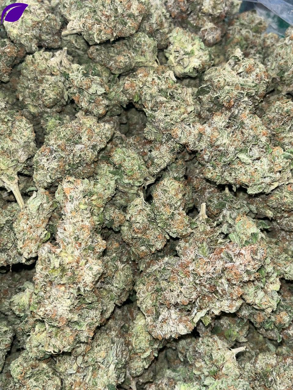 Gelato THCA Indoor - Image 2