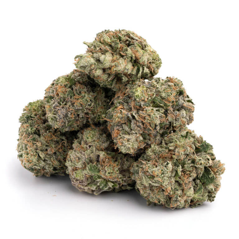 Governmint Oasis THCa Flower