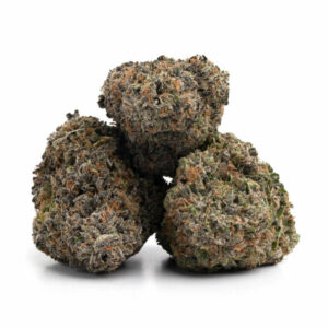 Grand Daddy Purple THCa Flower
