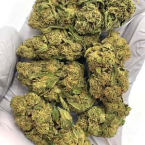 Hi-Octane Cookies THCa Flower