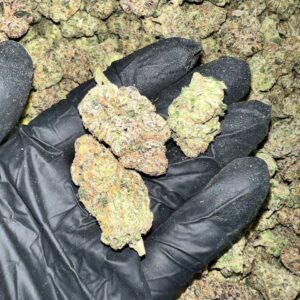 Hood Lemon THCa Flower