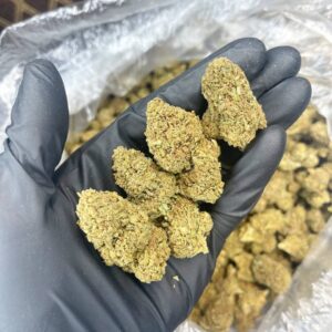 Hubba Bubba CBD Strain