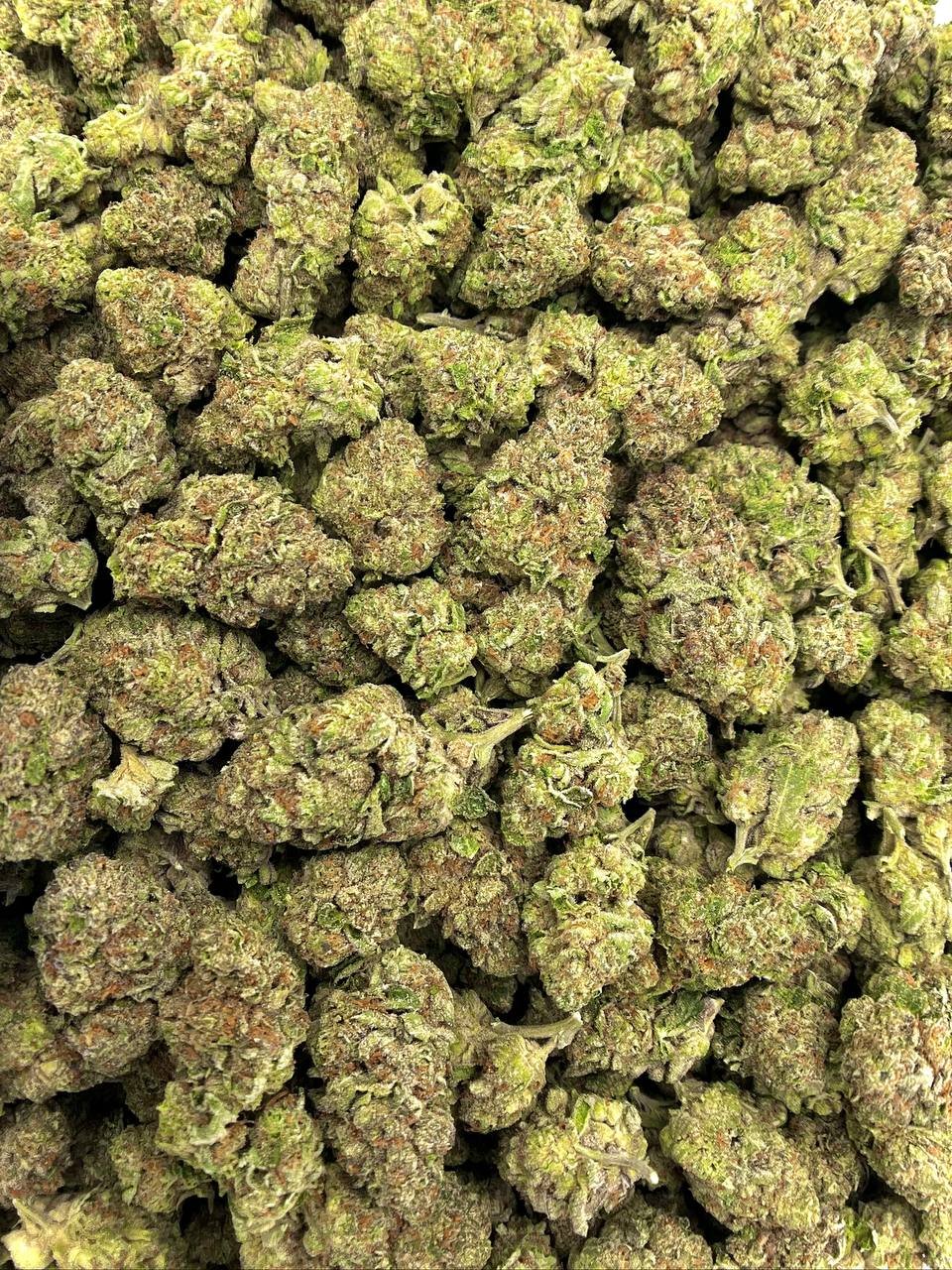 Ice Cream Cake THCa Flower - Image 2