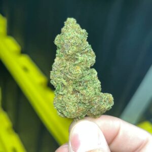 Jealousy Indoor THCa