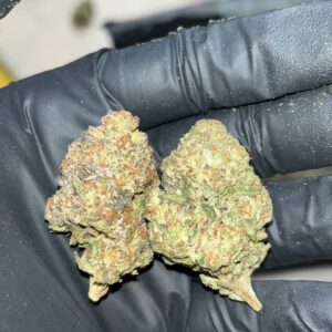 Jealousy Runtz THCA