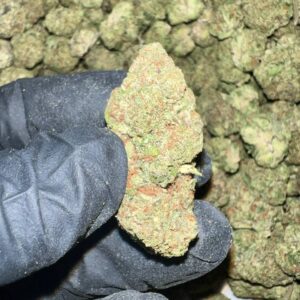 Jelly Zonuts THCA Flower