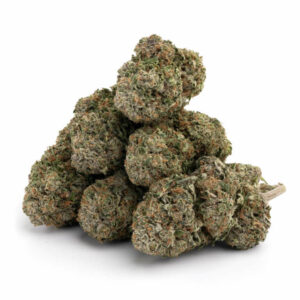 Jet Fuel Gelato Skunk THCa Flower
