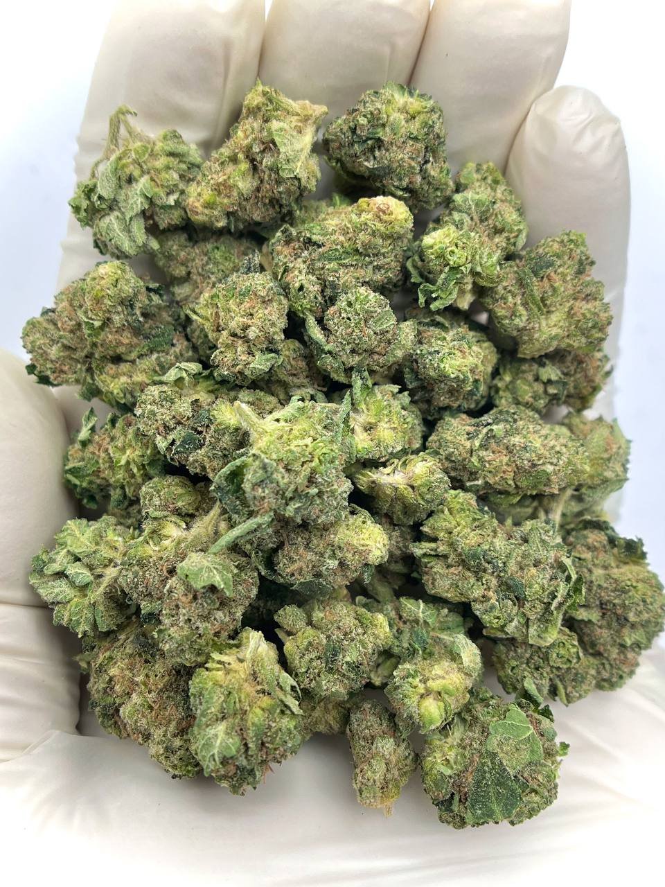 Keylime Jack THCa Flower