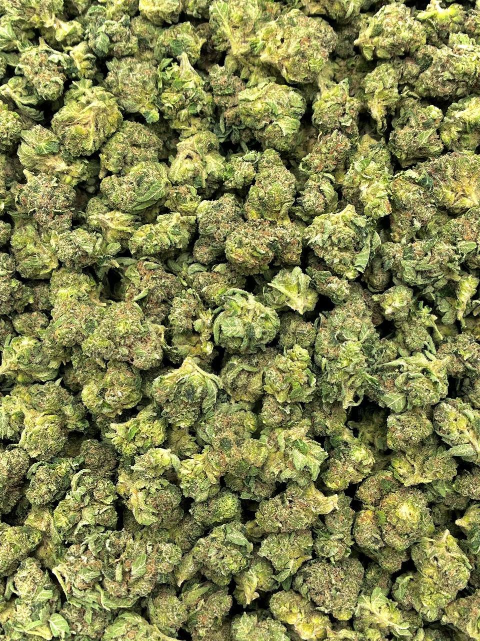 Keylime Jack THCa Flower - Image 2